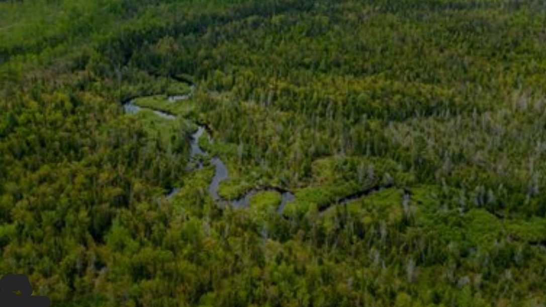 Petition · Stop the sale of 32,000 acres of land in Keweenaw County, Mi