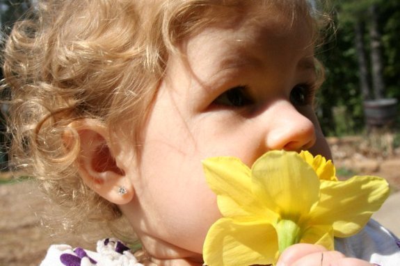 Petition Support The Kilah Davenport Child Protection Act 2013 