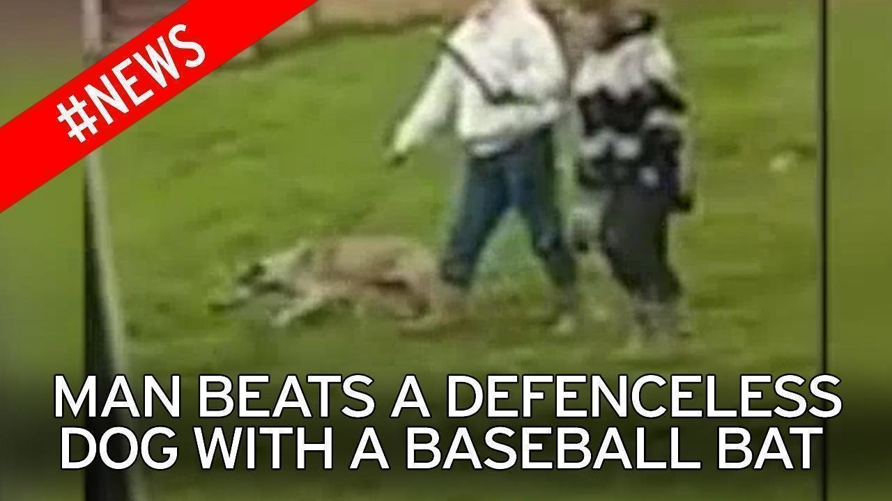 Petition · Bring tougher laws and punishment to the UK against animal