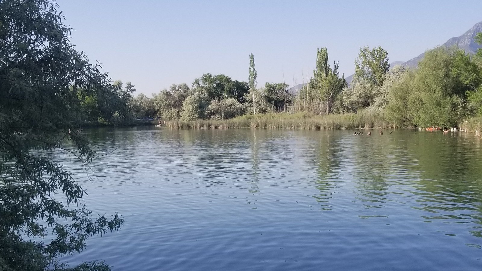 Petition · Reopen Burraston Ponds camping - United States · Change.org