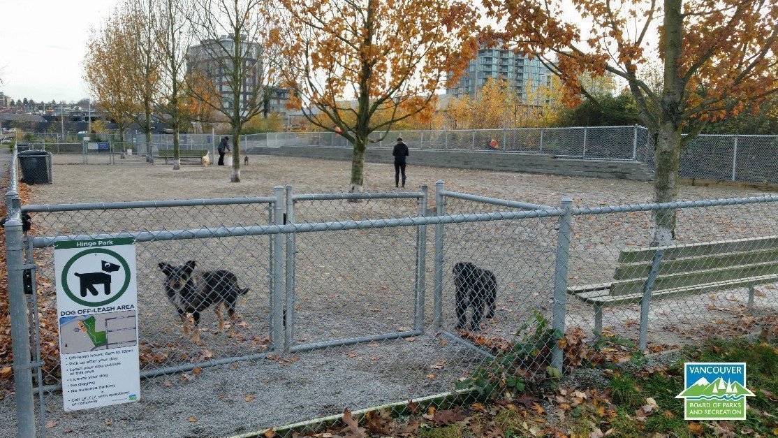 Petition · We Need Neighbourhood Dog Parks in Surrey! Surrey, Canada ·