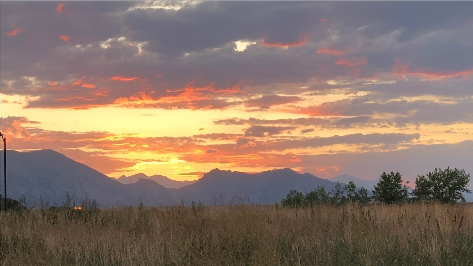Petition · Remove mandatory attendance requirements for CU Boulder