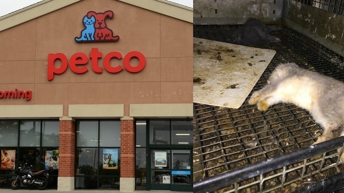 Petition · Shut down supplier of Petco and PetSmarts animals