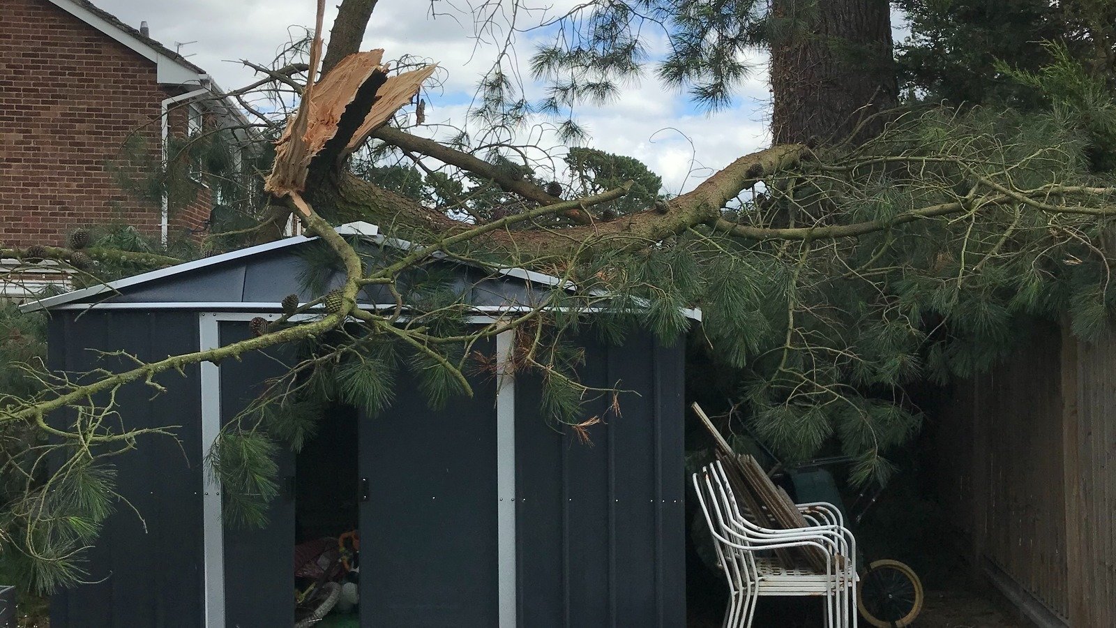 Petition · Remove TPO's on dangerous trees ·