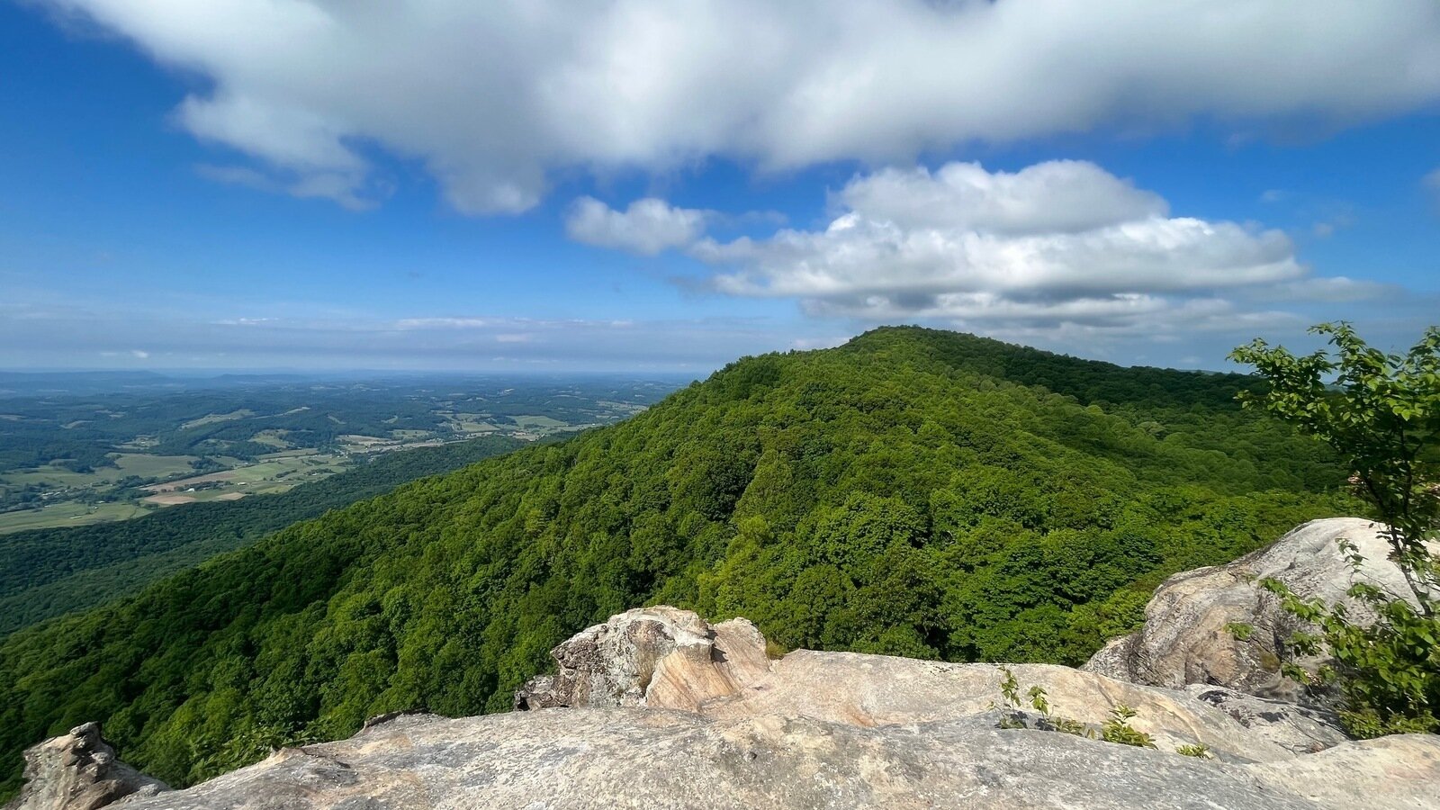 Petition · Stop the Slaughterhouse in Rose Hill, VA! ·