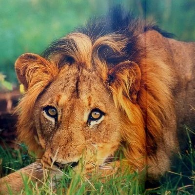 ChangeOrg profile picture for @ruth