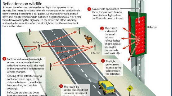 Petition · Reinstall the Strieter-Lite Wild Animal Highway Warning ...
