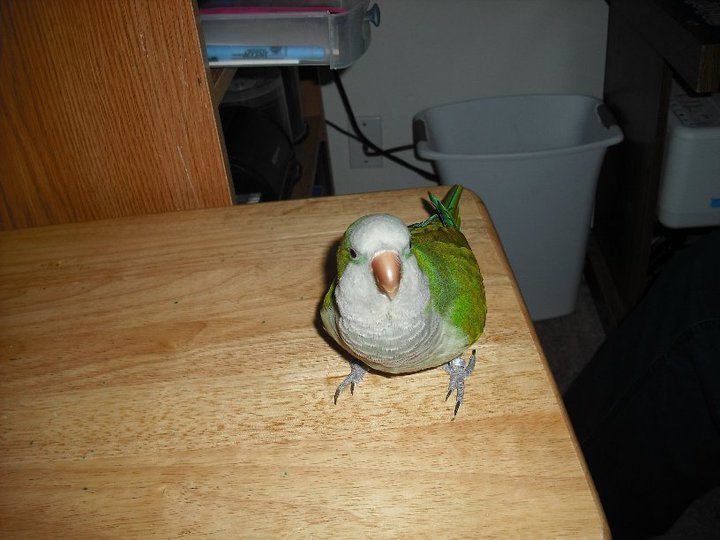 Petition · Allow citizens of the state to keep individual Quaker