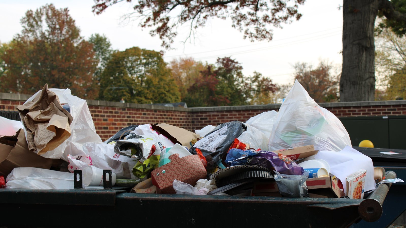 Petition · Start Recycling at the University of Delaware United