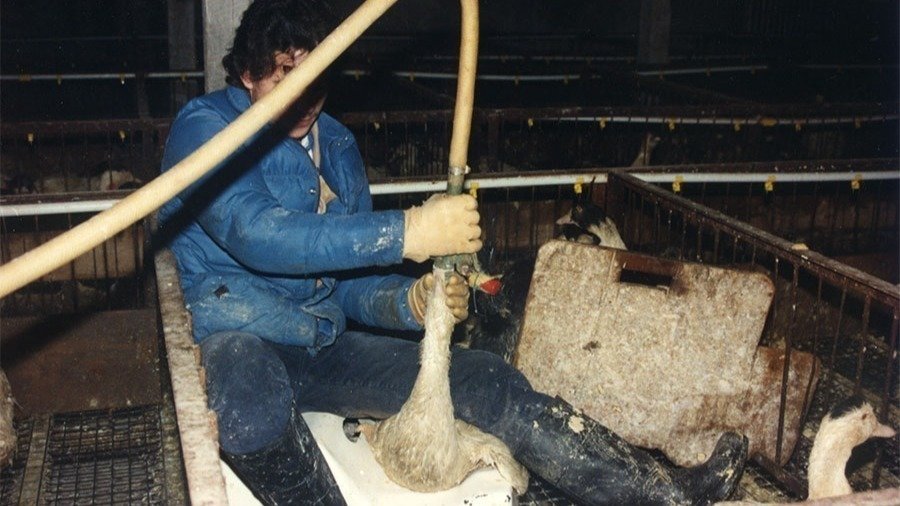 Petition · Ban Foie Gras in ATX United States ·