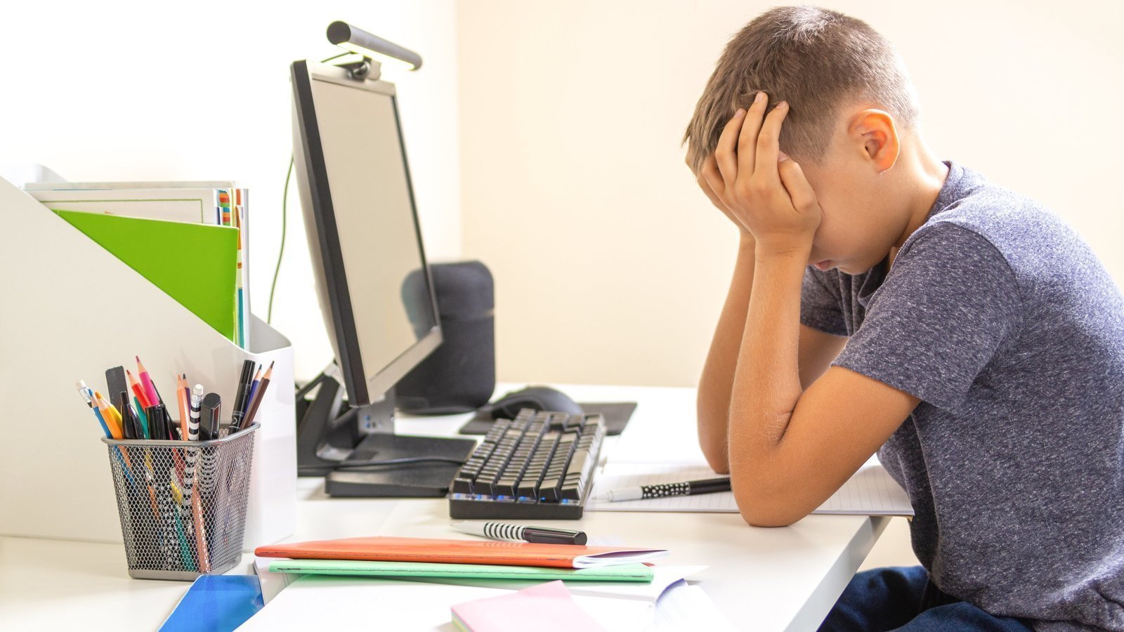 компьютер для школьника. домашнее задание интернету. писающий мальчик. гдз. школьник пишет.