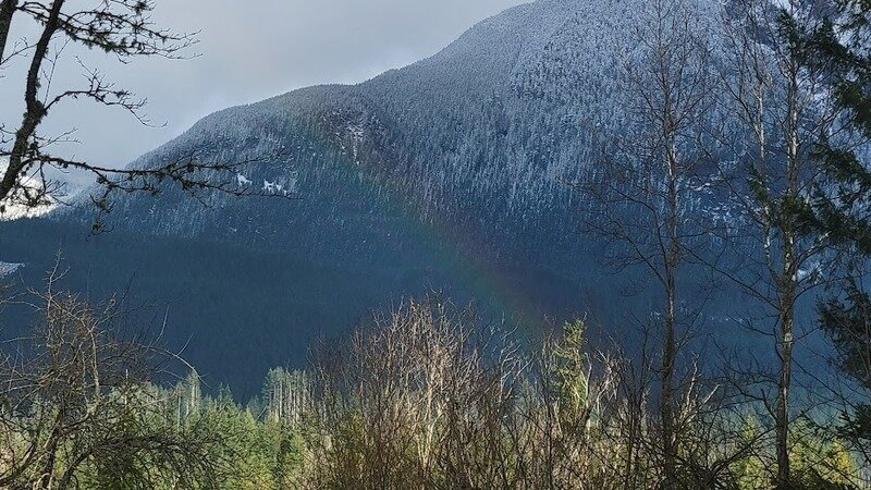 Earn Gold Bar, WA a "Tree City, USA" designation from Arbor Day Foundation