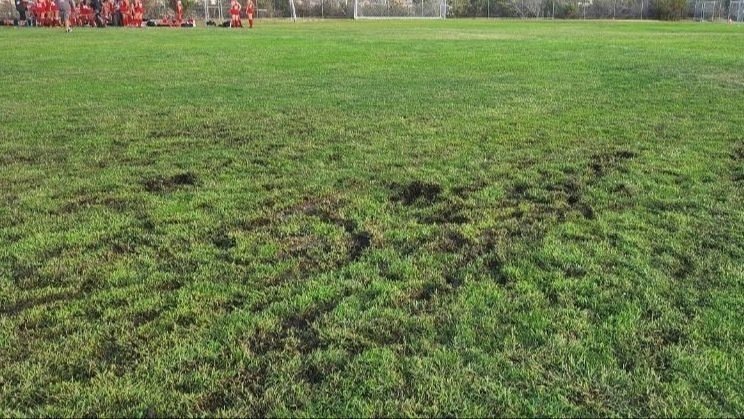 petition-help-mission-vista-high-school-petition-for-a-turf-field