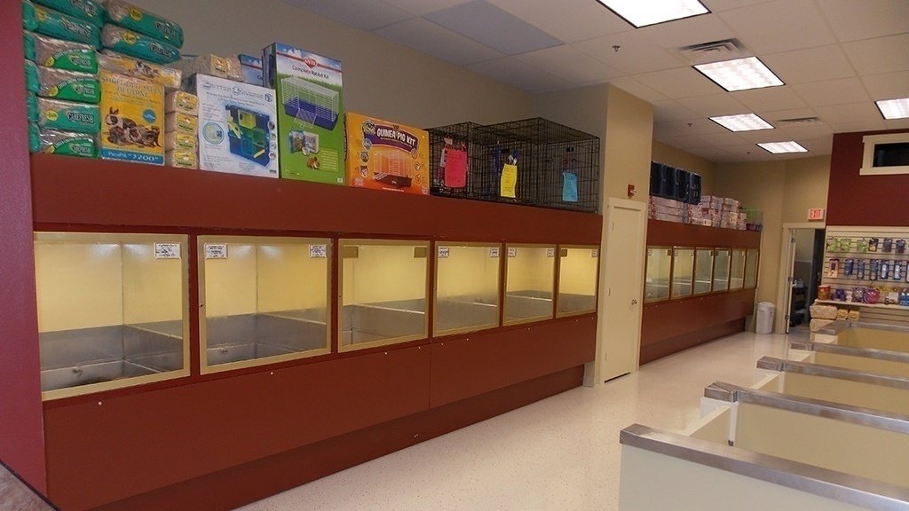 Petition · Stop Pet Stores in Indiana United States ·