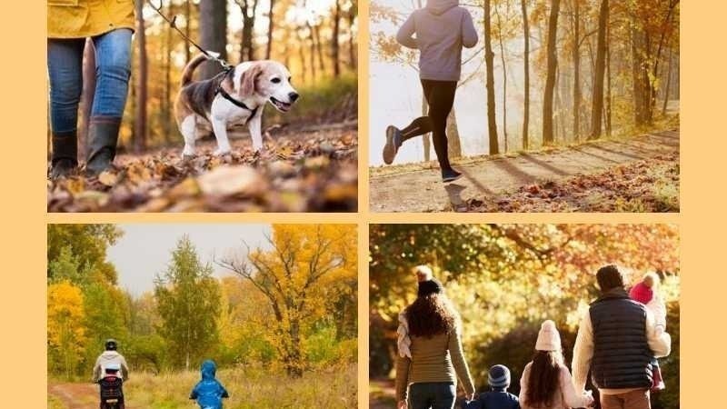 Pétition · Pour un deuxième jour sans chasse en Isère France ·