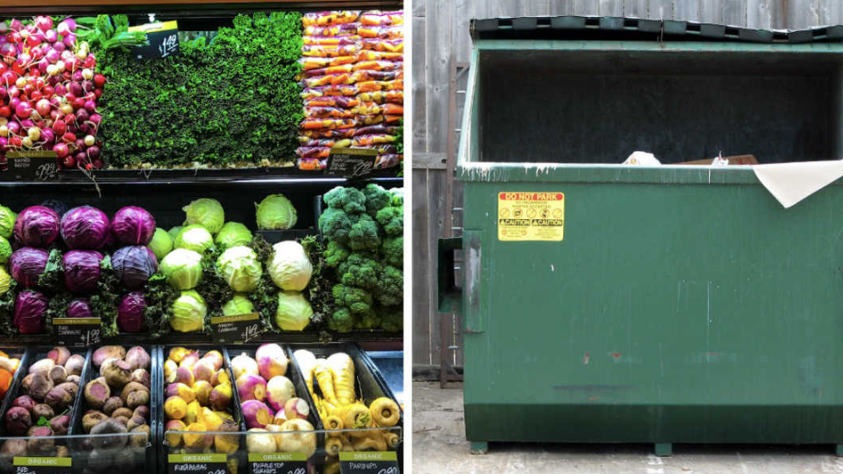 Petition · Ban Canadian grocery stores from throwing out food before it