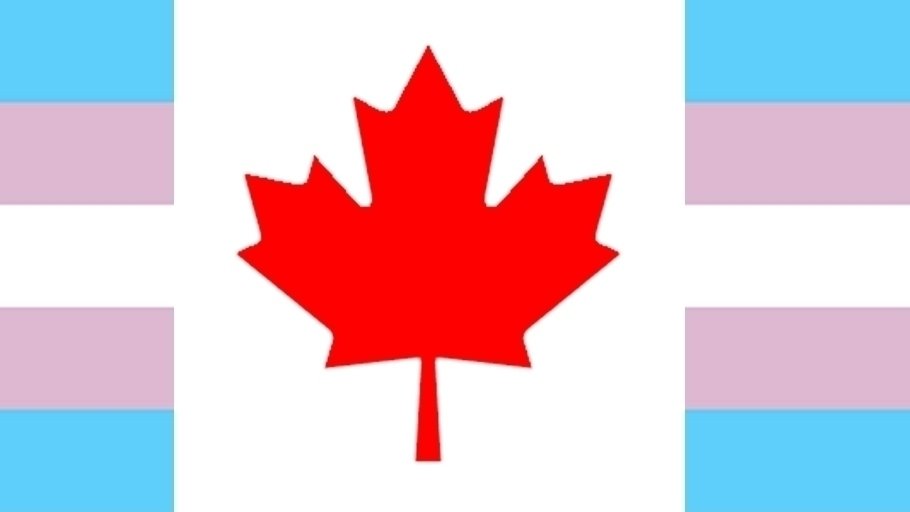 Petition · Make Gender Affirmation Products Covered by Nationwide