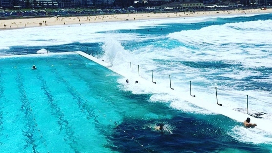 Petition · Stop denying quadriplegics like me access to our Aussie