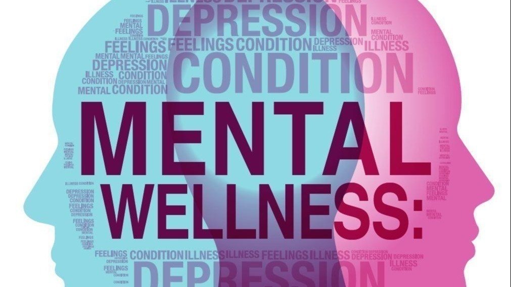 Petition Mental Health Days Change