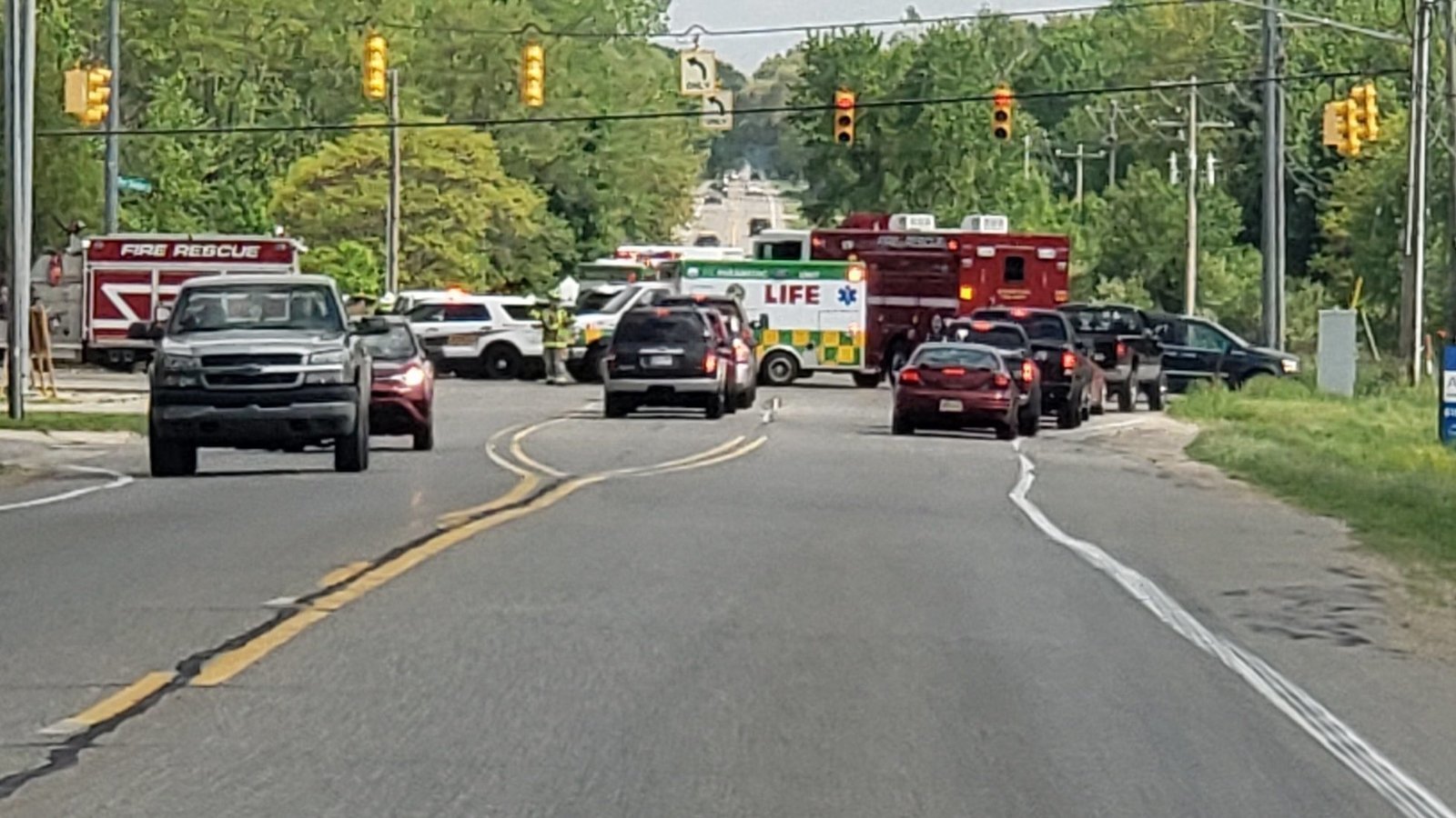 Petition · Left Hand Turn Twp, MI ·