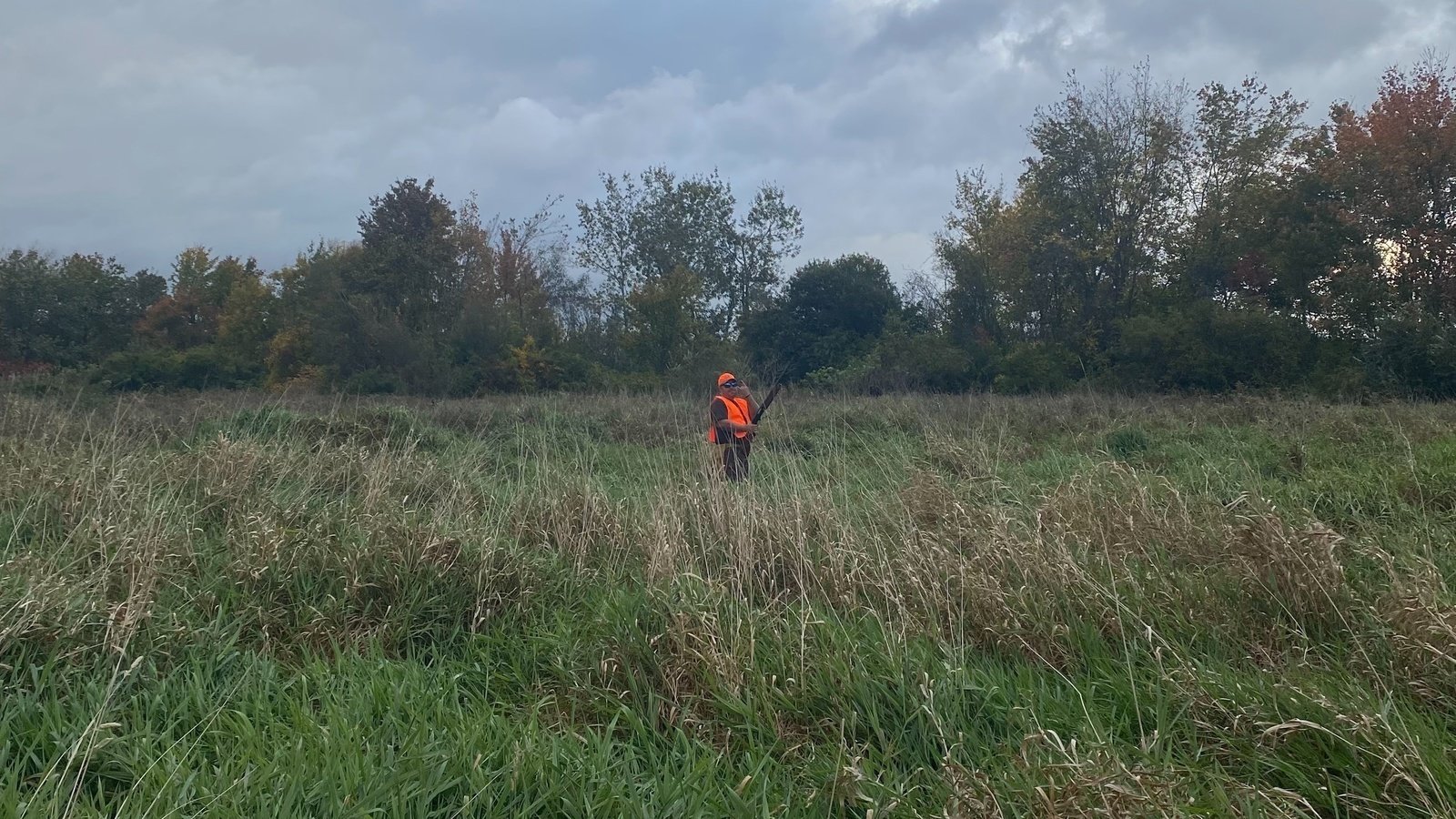 Petition · Allow Hunting on Sundays in Massachusetts United States