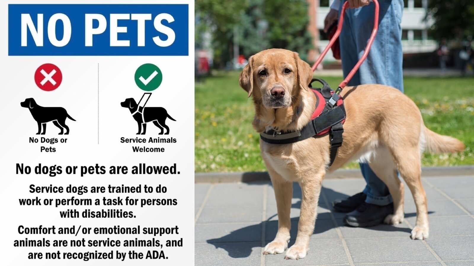 Petition Urge UT Austin To Post Service Animal Signs On Entrances petition-urge-ut-austin-to-post-service-animal-signs-on-entrances