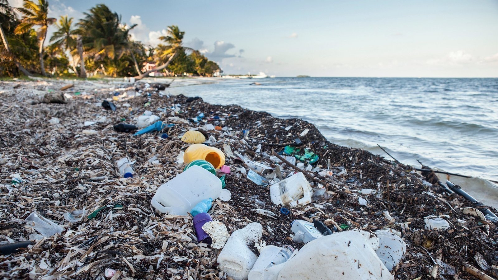 Petition · Stop Throwing Trash United States ·