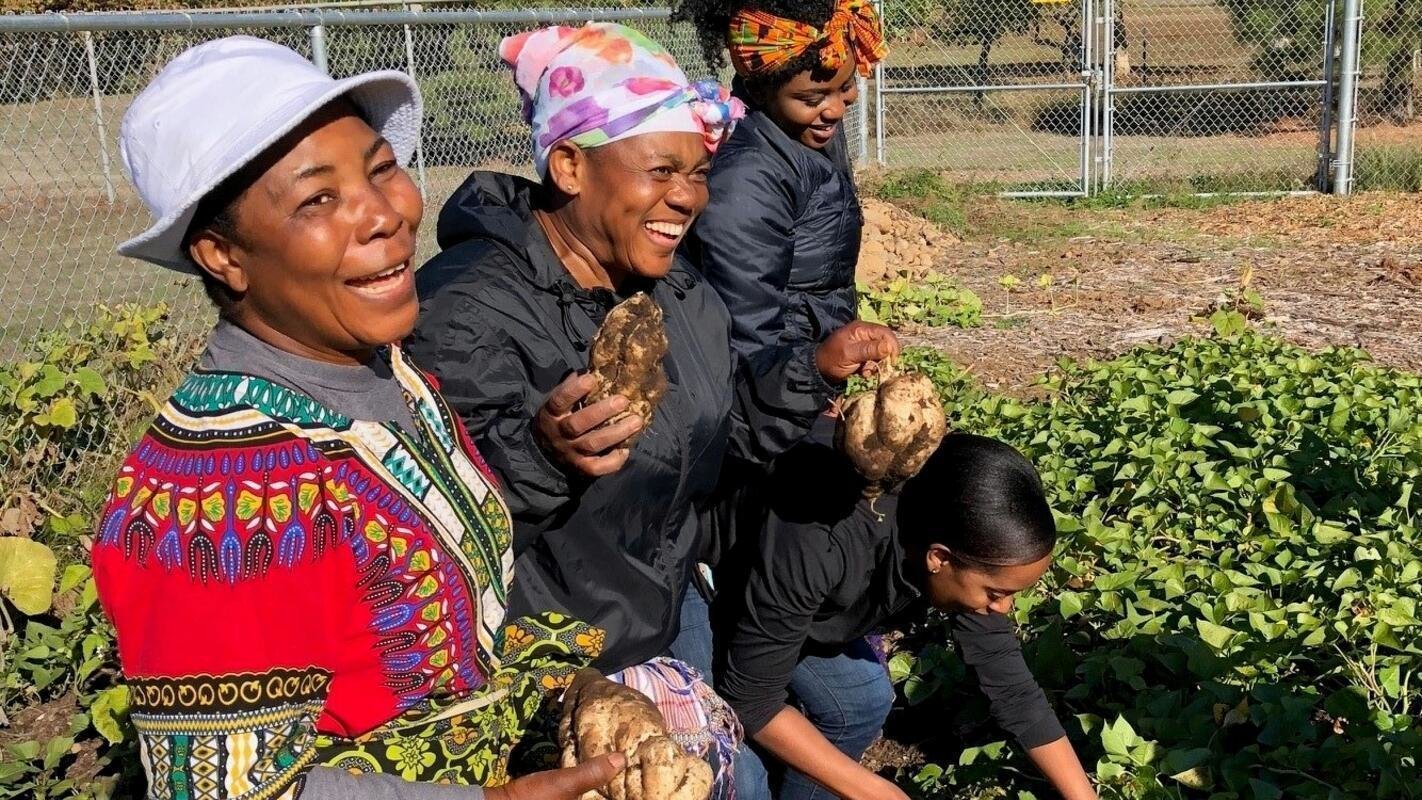 Petition · Petition for City of Portland to fund yard waste collection