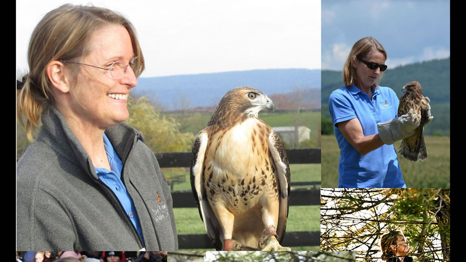 Petition · Keep Doctor Belinda Burwell at the Blue Ridge Wildlife