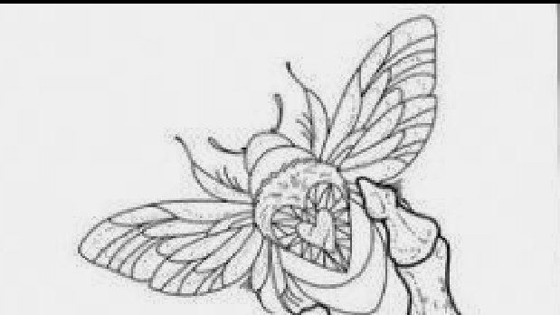 Petition · Opening tattoo shops across Washington state free the ink · Change.org