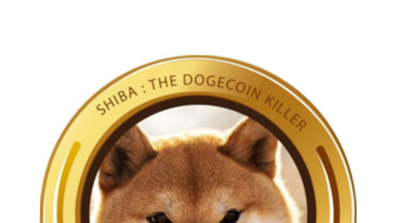 Petición · Firma está petición para que Shiba Inu llegue al valor de 1 USD  - Colombia · Change.org