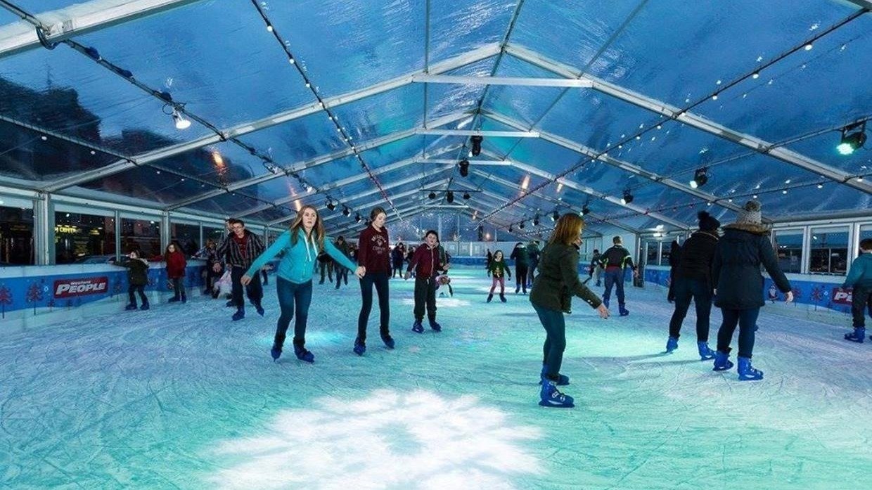 Petition · Permanent ice rink for leinster Ireland ·