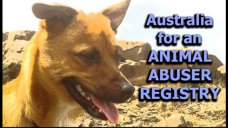 Petition Introduce An Animal Abuser Registry In Australia Australia