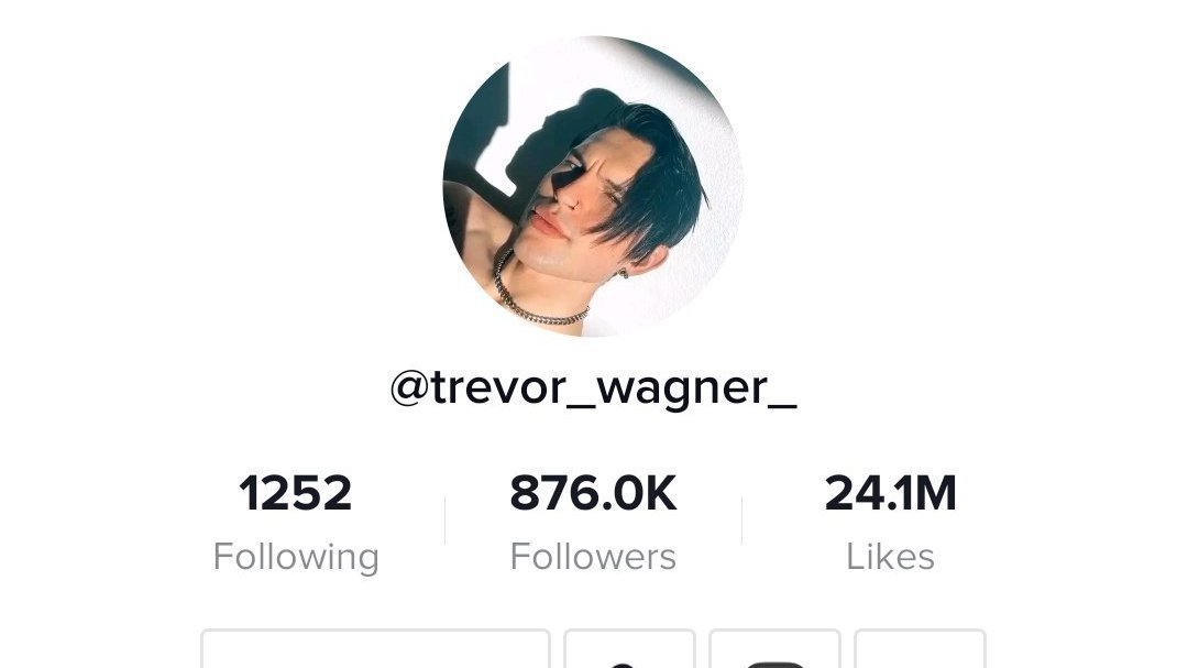 Petition · TIKTOK NEEDS TO VERIFY trevor_wagner_ - Ireland · Change.org