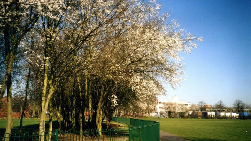 Petition · Save the Eagle Rec - United Kingdom · Change.org