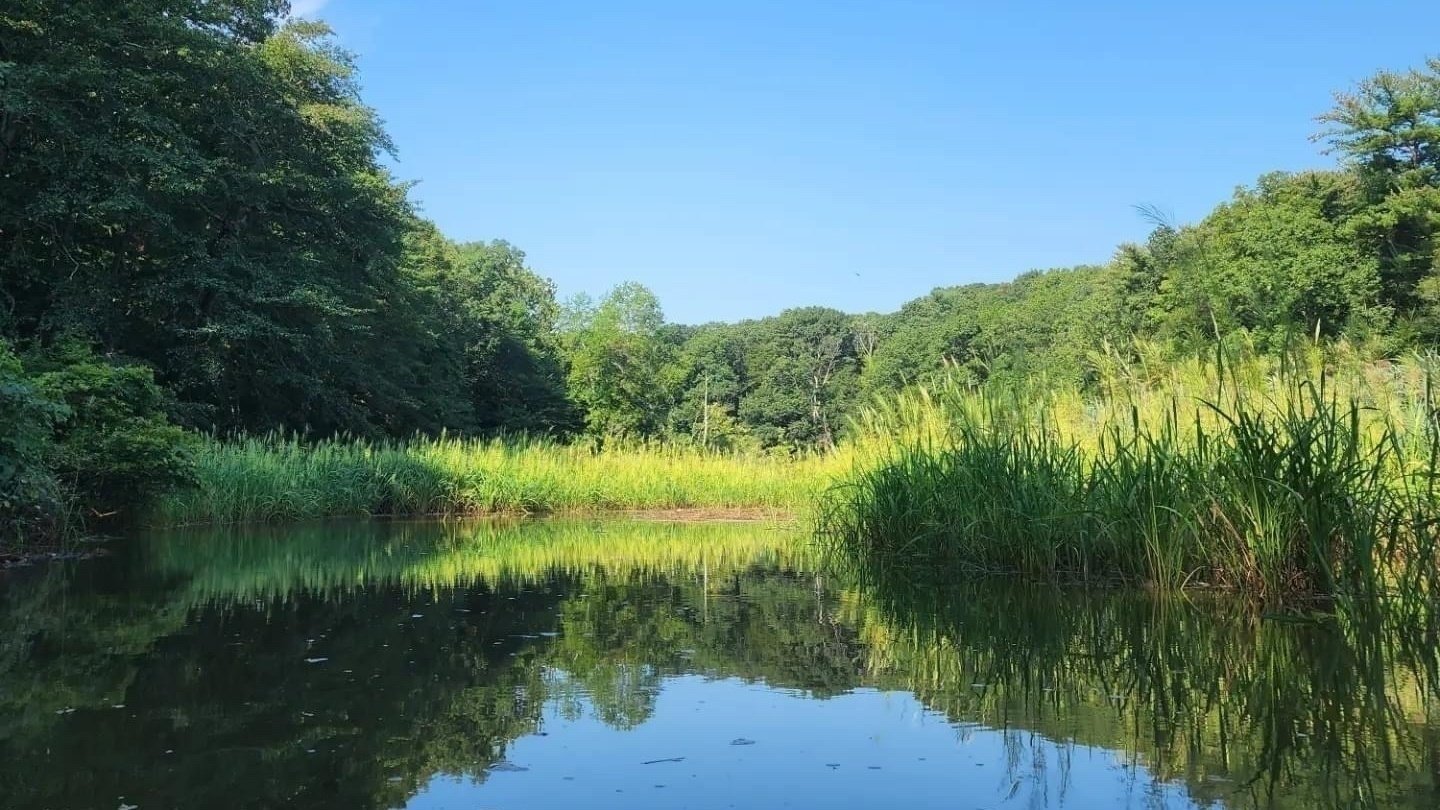 Petition · Stop Development Along the Swimming River United States