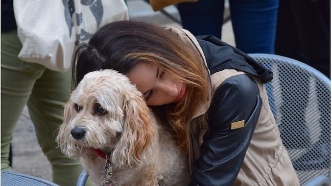 Petition Allow Emotional Support Animals In Alberta Change Org