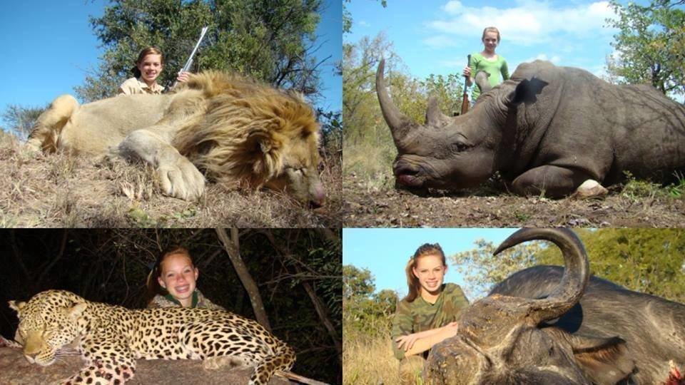 Petition · Stop hunting species for sport ·
