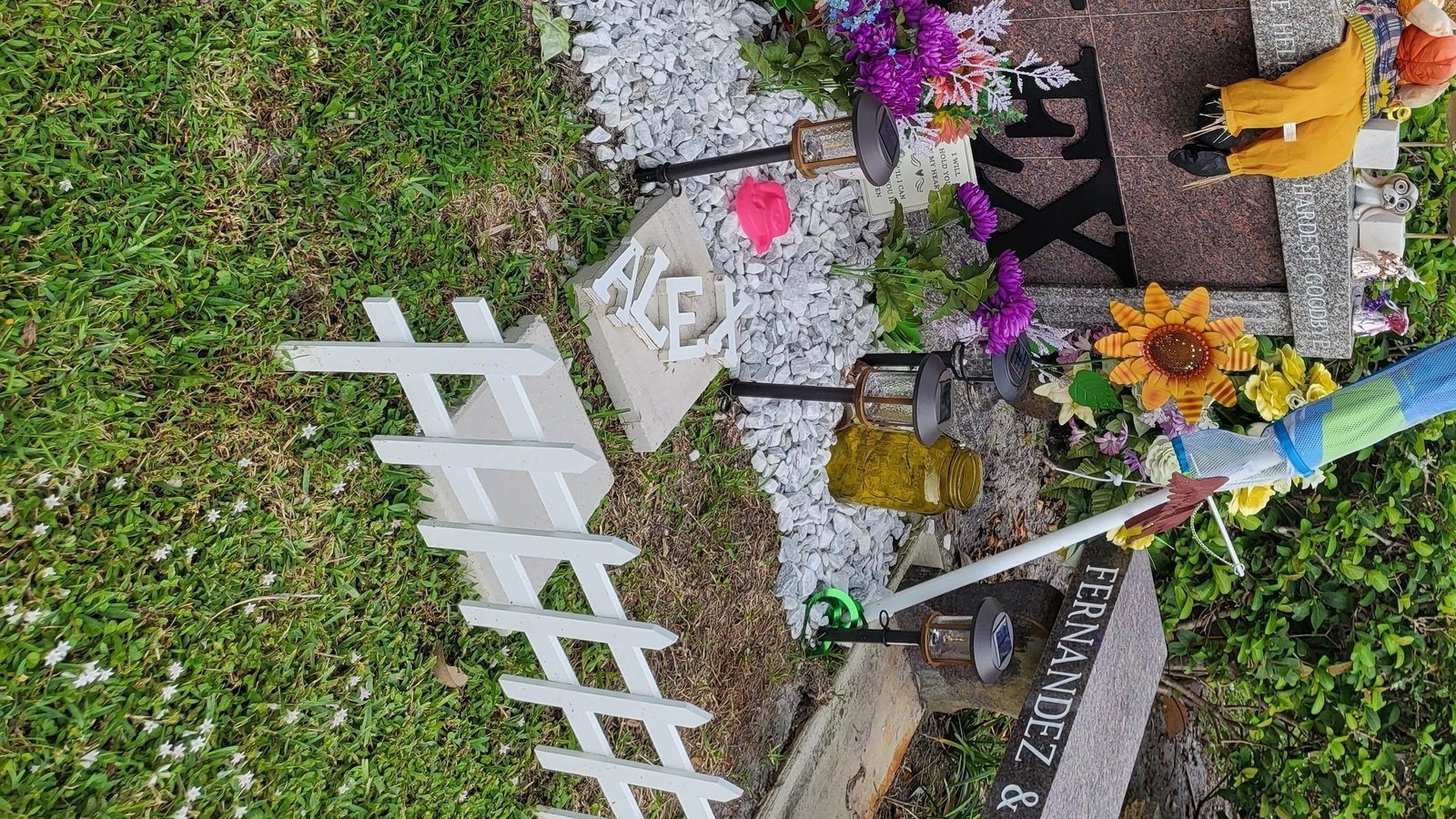 Petition · Change the law in florida to get grandparents visitation