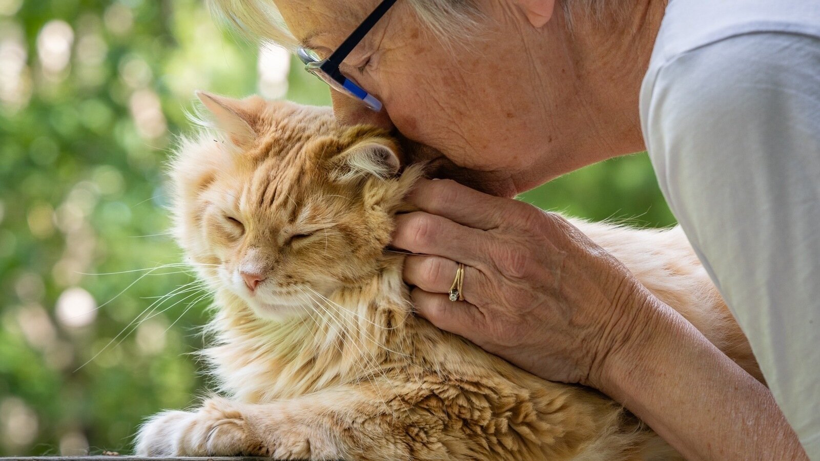 Petition · No Pet Left Behind Establishing pet friendly rental