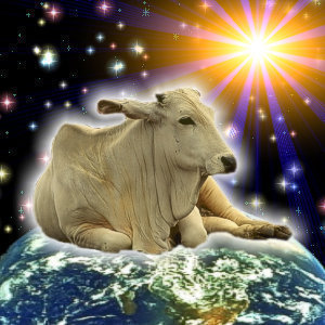 ChangeOrg profile picture for @activist