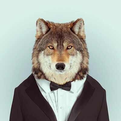 ChangeOrg profile picture for @lobo