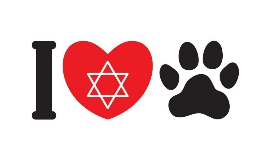 Petition · Give animals a voice in Israel. It's time to change the law ...