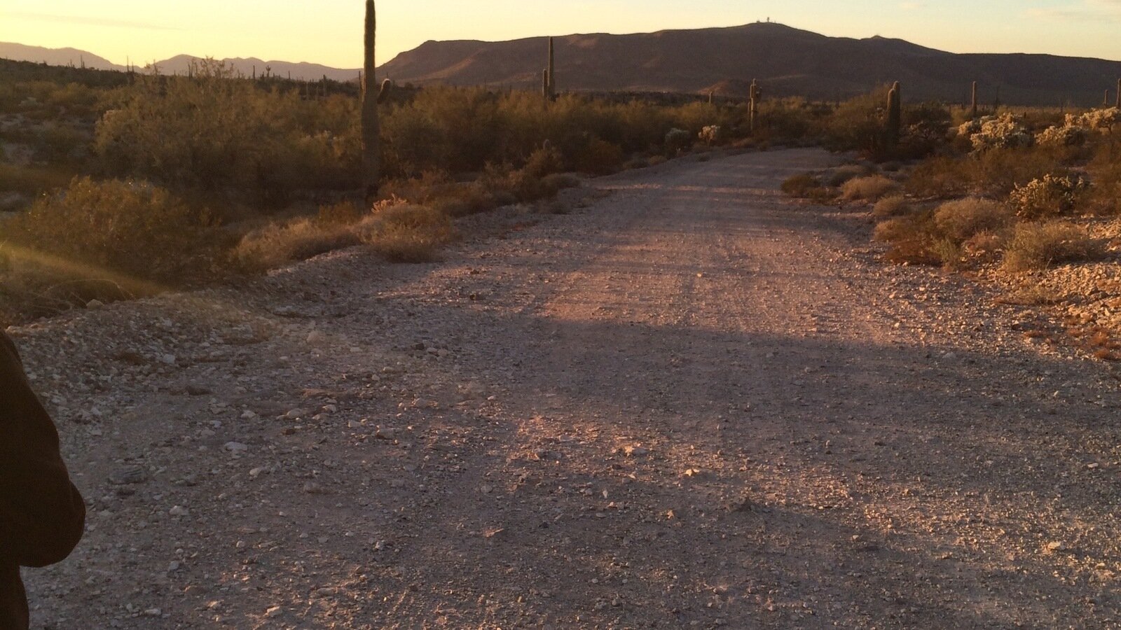 Petition · Implement Speed Control Measures on Rosedale Avenue, Gibson