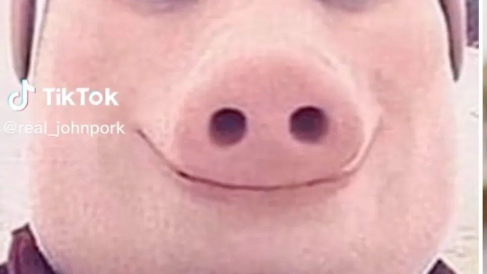 Petition · stop john pork from calling everyone. United States