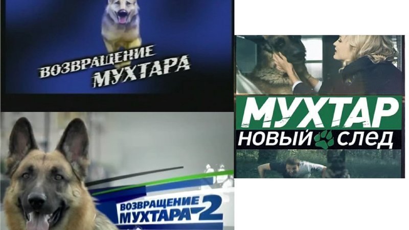 Мухтар 2 Новый Год Мухтар 2 Новый Год
