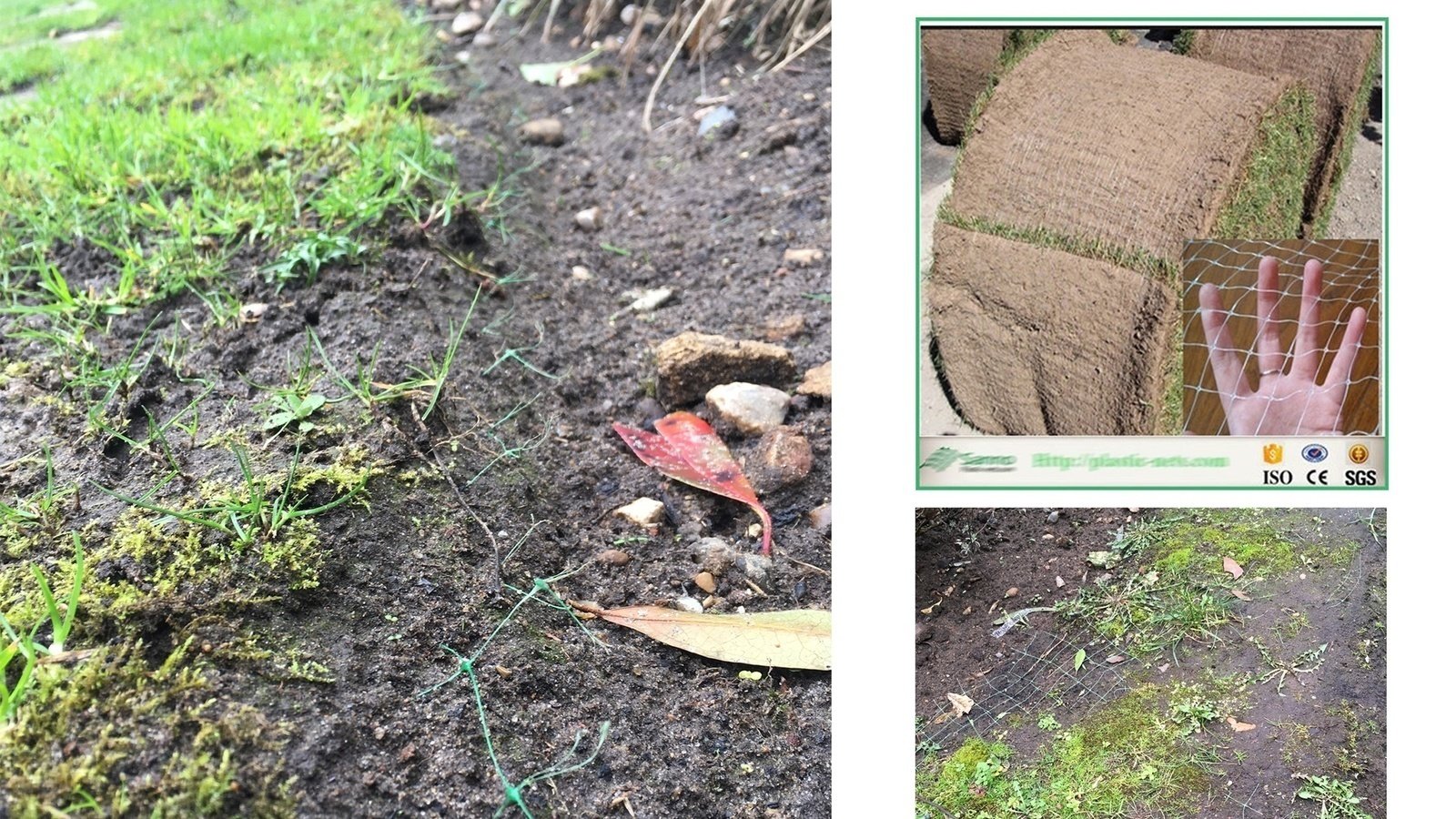 Petition · Did you know there may be plastic netting in your lawn? Ban