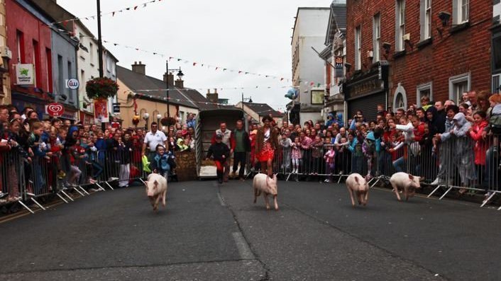 Petition · End the Pig/Sheep Race - Arklow, Ireland · Change.org