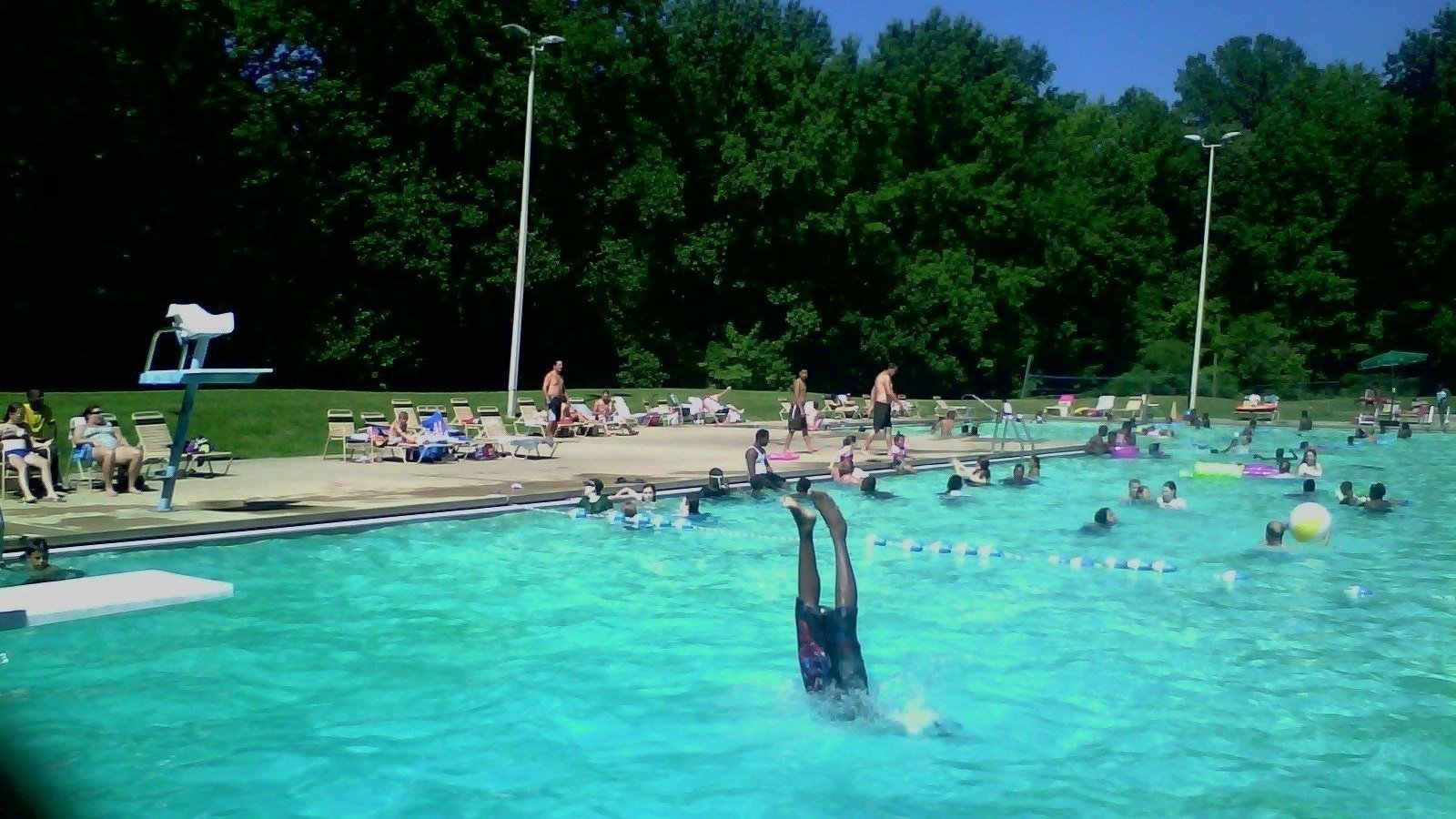 Petition · Let’s get the swimming pool at the TN Meeman Shelby Forest