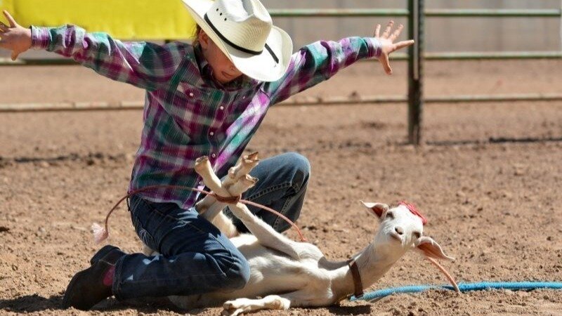Goat Roping Pivot Design Petition · End Goat Roping - United States · Change.org